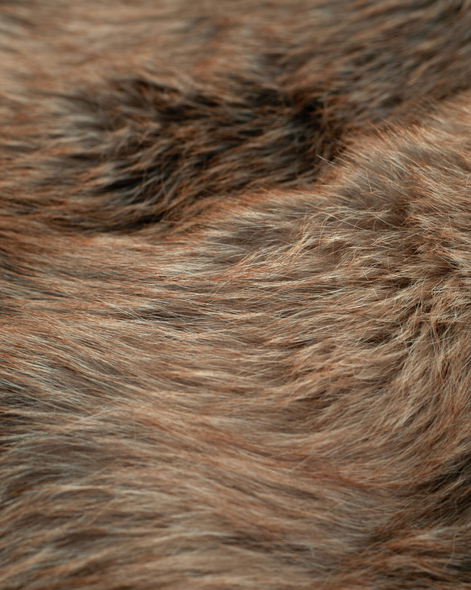 Caro Fur Jacket (brown)