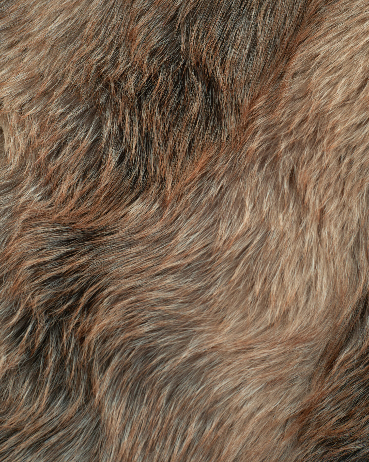 Caro Fur Jacket (brown)
